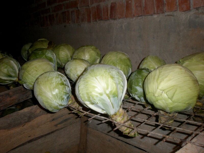 оригинальный способ!