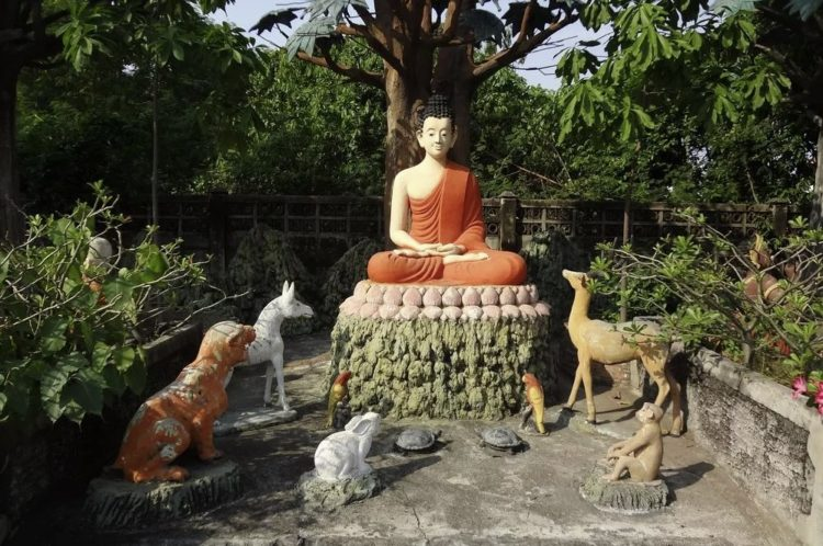 Источник фото - https://goo.su/0rauz