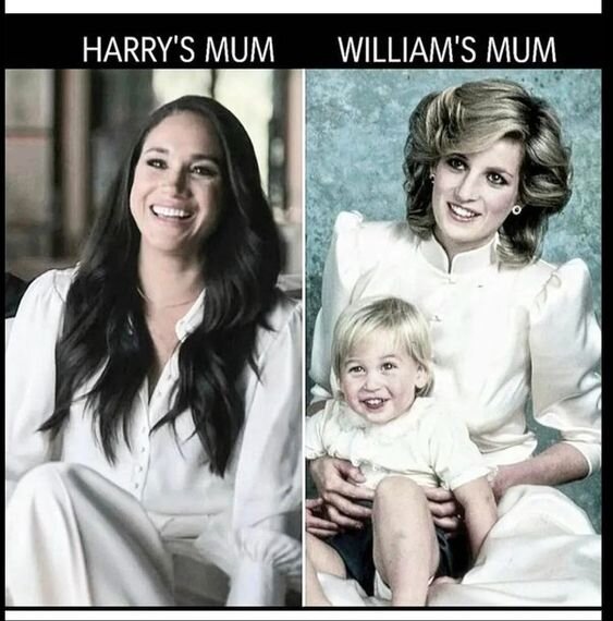 meghanstruthsfictionsandfantasies... 