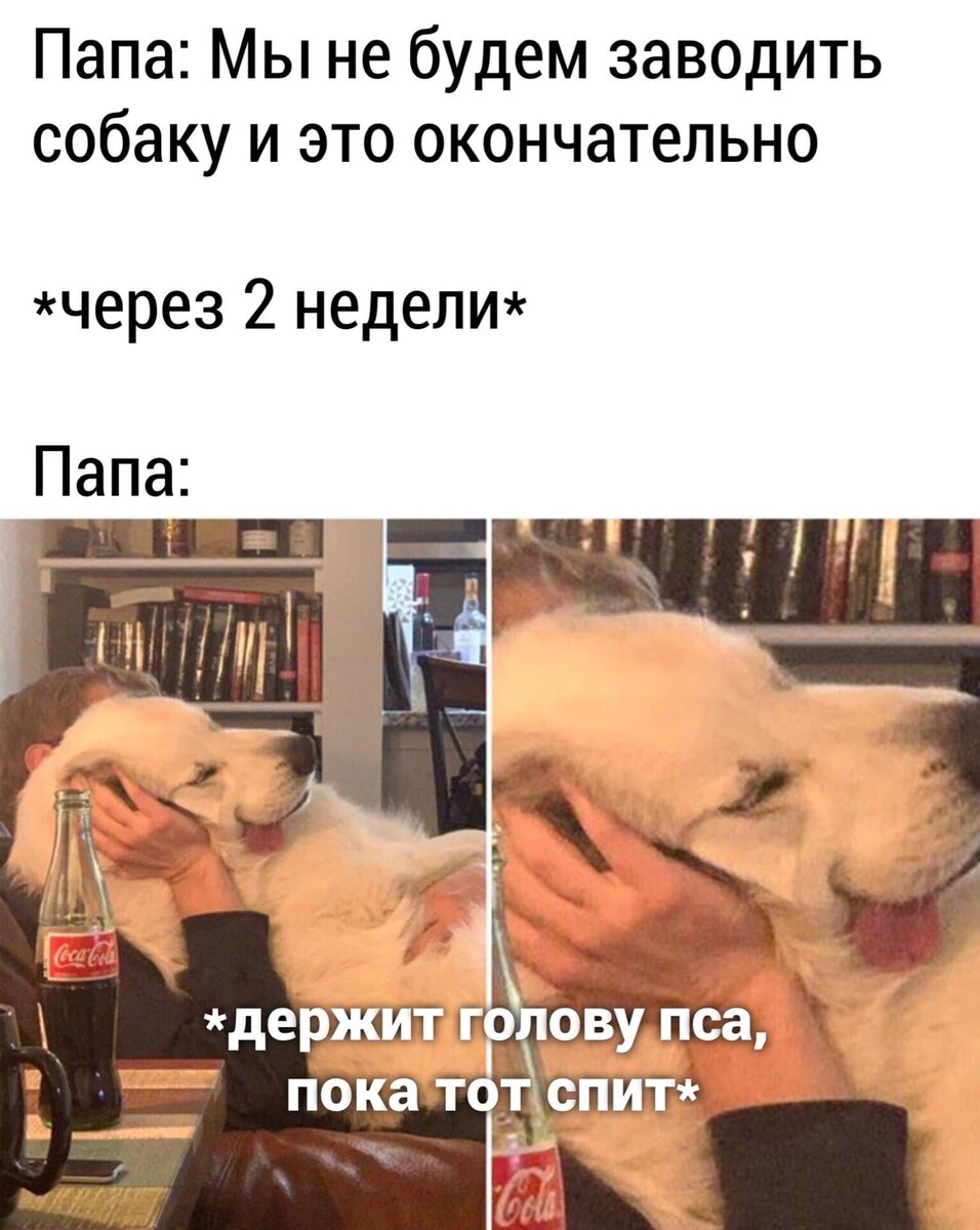 Отец и собака Мем