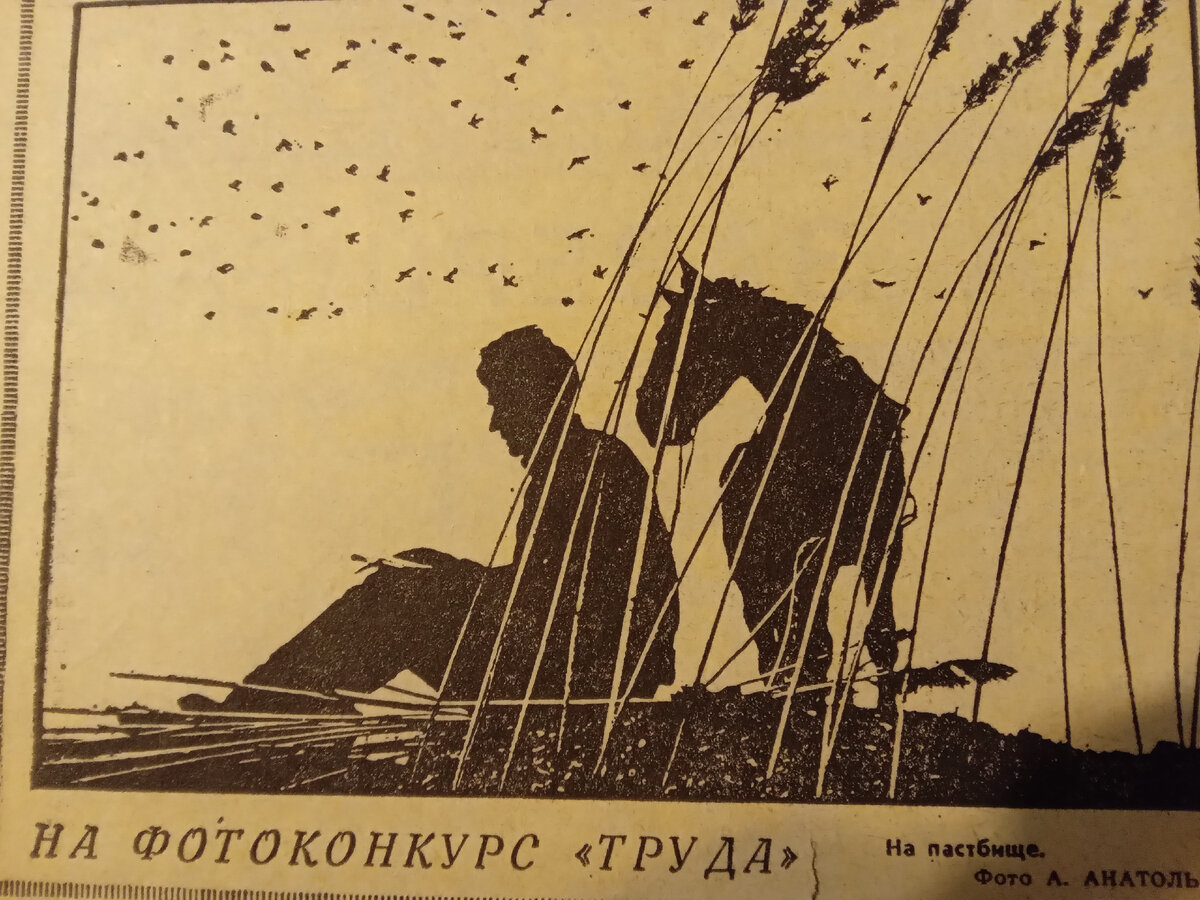 Фото автора.