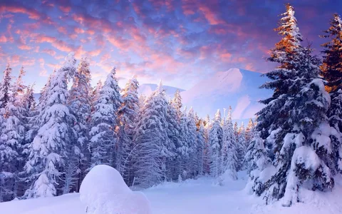 Яндекс.Картинки