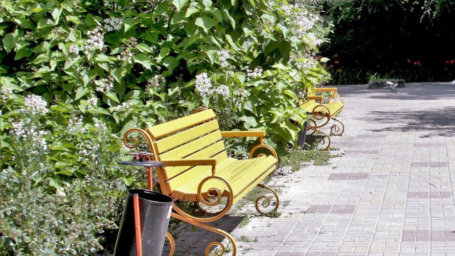    Автор фото: Евгения Емельянова (из архива)