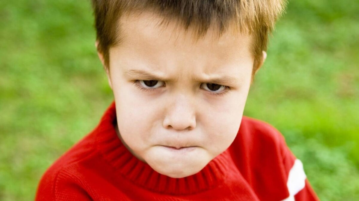 Фото из открытых источников.