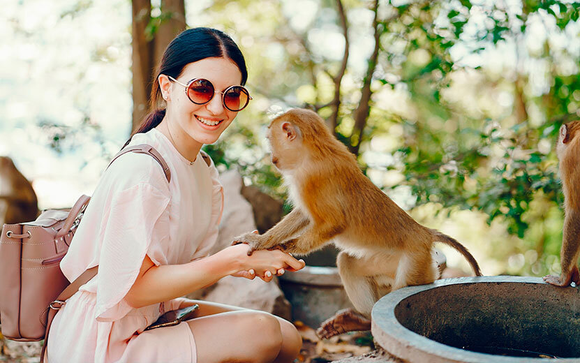    Есть вопрос: можно ли завести дома обезьяну в качестве питомца?
