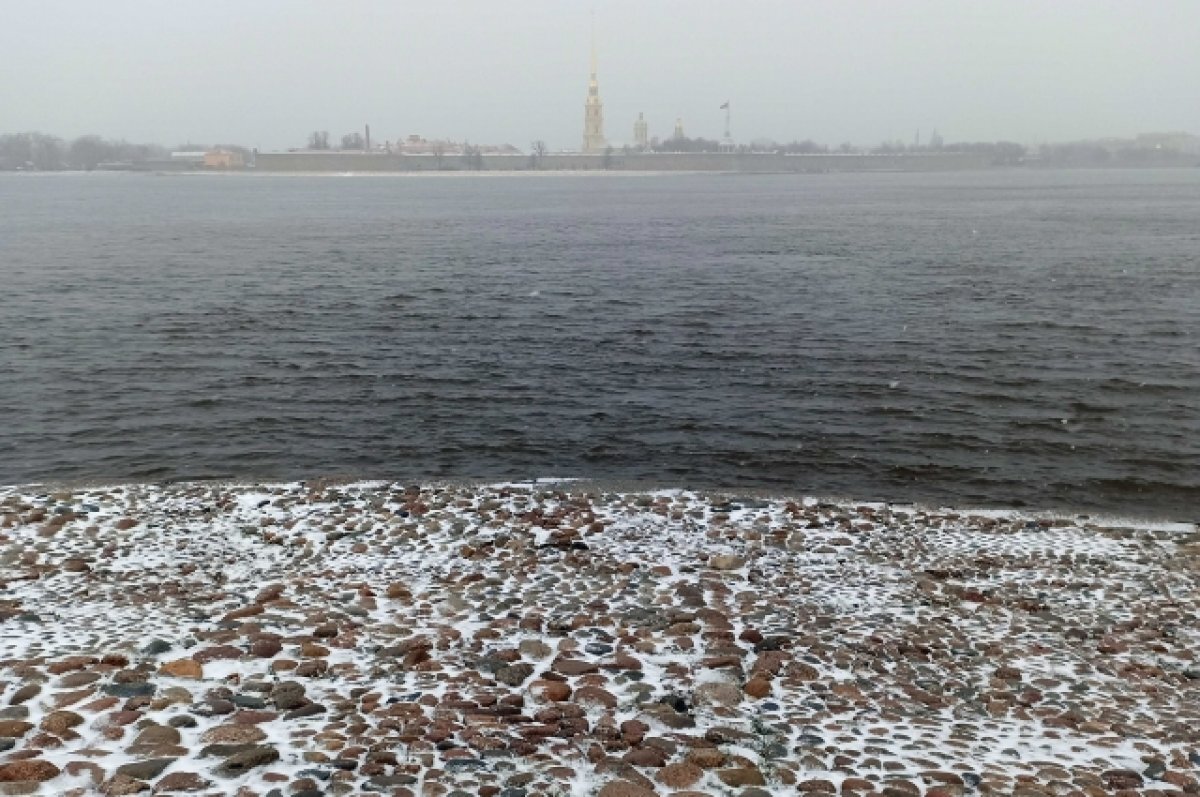    В Петербурге по ледяной Неве проехал полуголый велосипедист. ВИДЕО