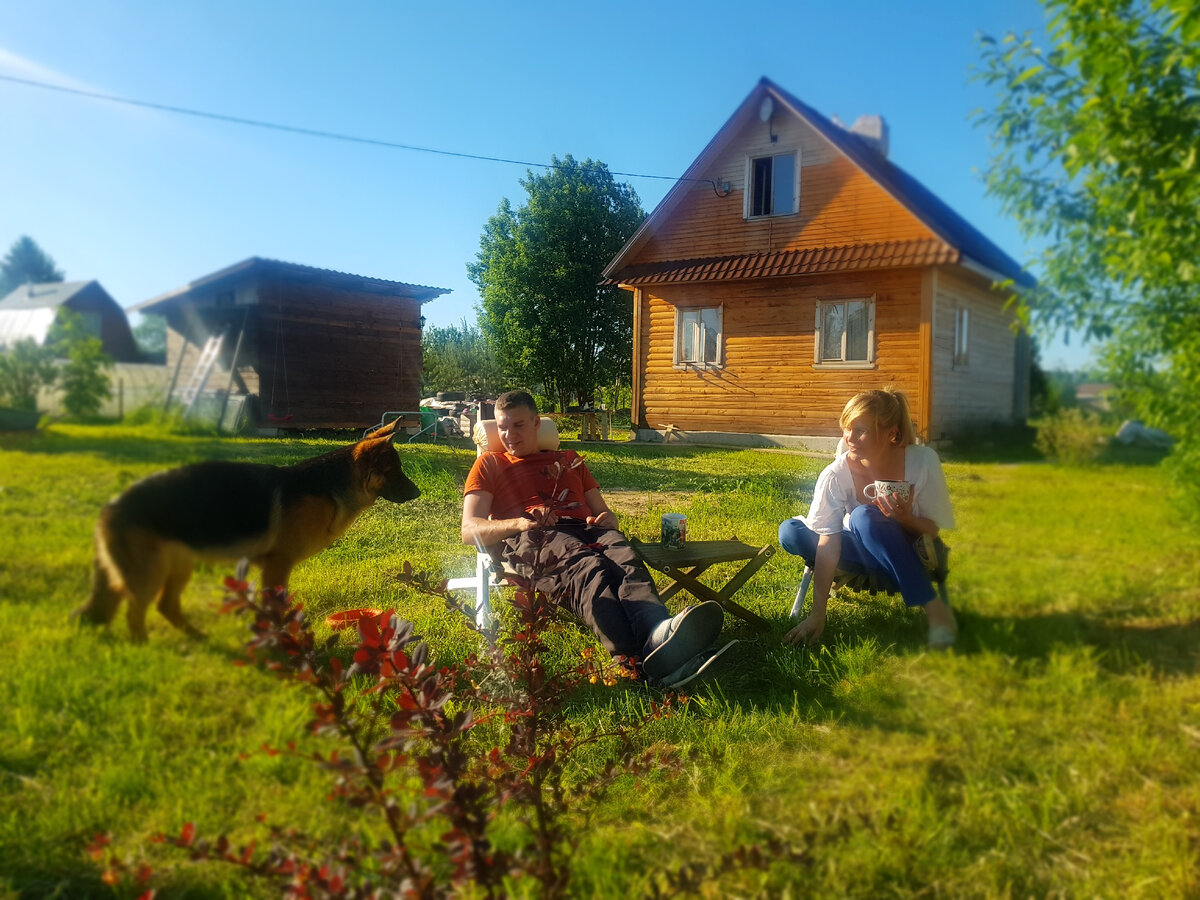 лето 2021 года, Гатчинский район, Ленинградская область