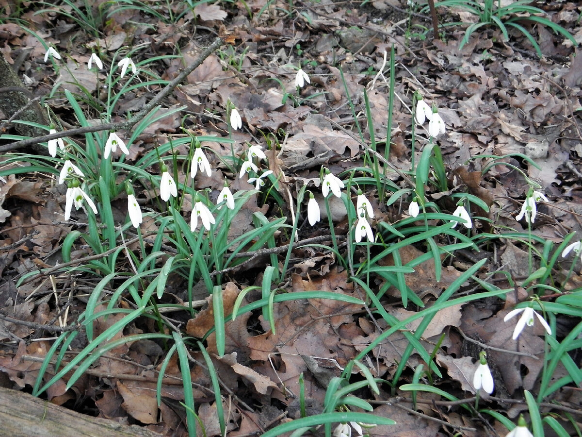 Фотографии авторские.