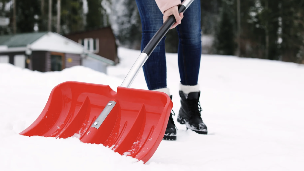 Фото: market.yandex.ru