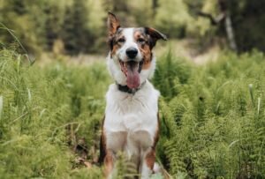    Фото: Taylor Murphy / unsplash.com Игорь Чамовских