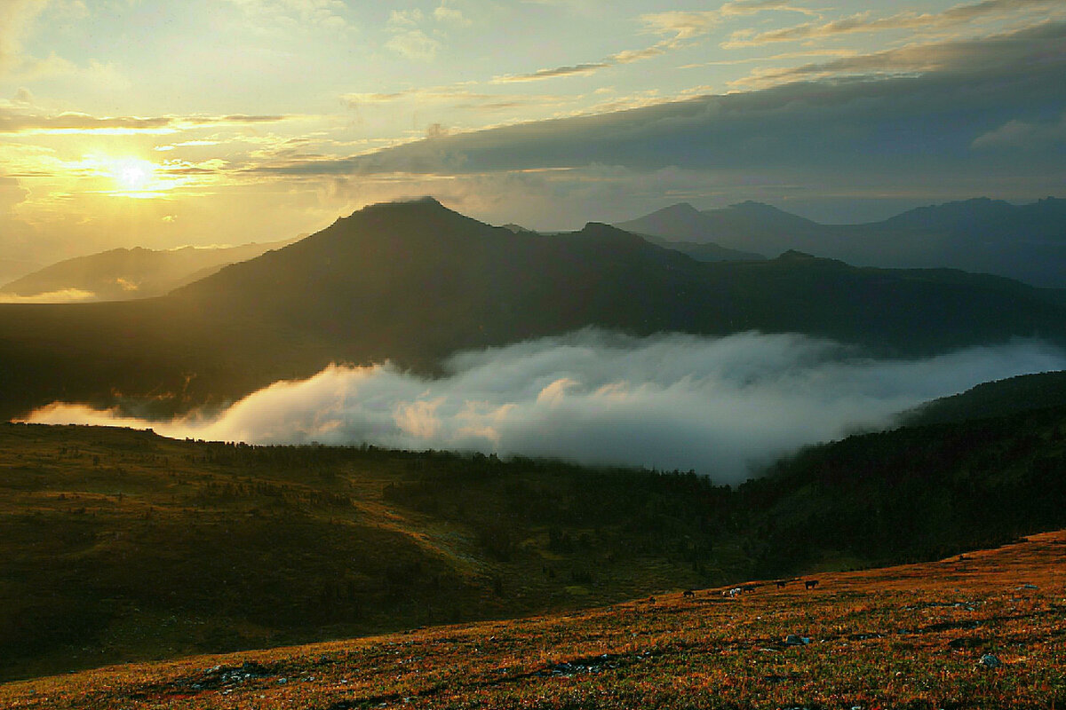 Фото: Sergey Malkov/Russian Look /Globallookpress