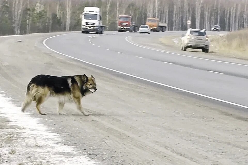 Фото: Народное Слово/YouTube 
