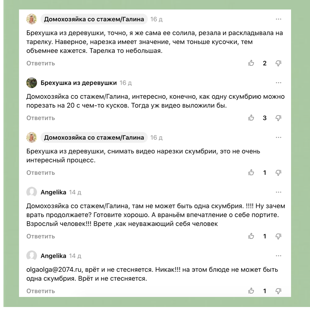 Не доказываю и не оправдываюсь, а просто доходчиво объясняю и показываю |  Домохозяйка со стажем Галина | Дзен