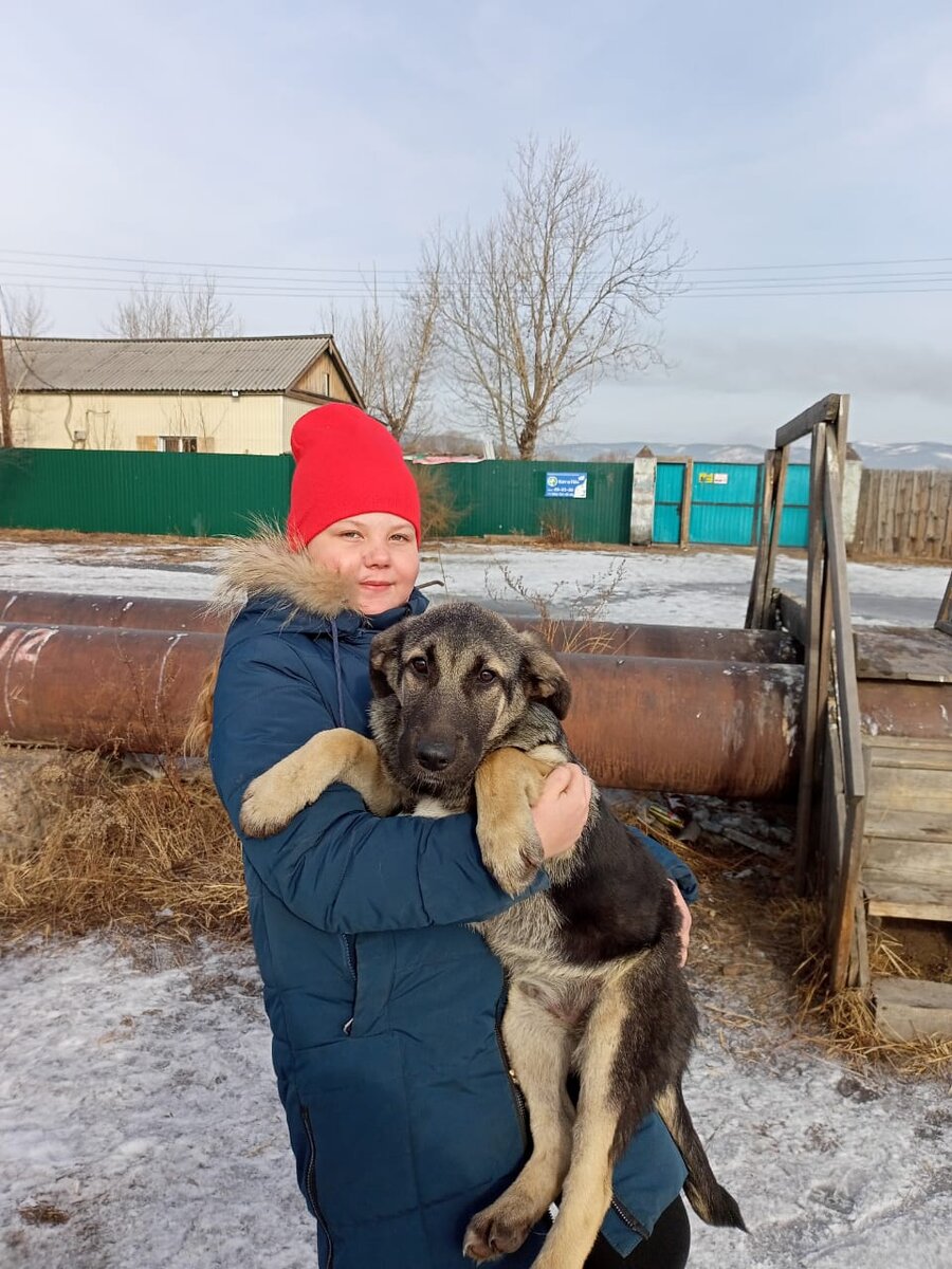 Симулянтик поехал домой.
