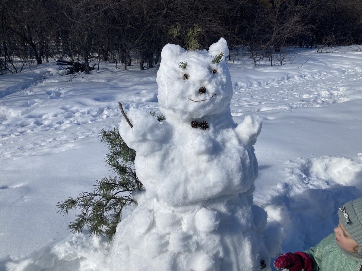 построили сами. Это лиса или кошка с пушистым хвостом сзади 