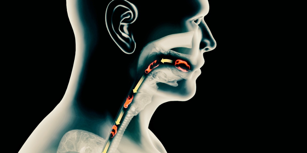 Продвижение пищевого кома из полости рта, глотки в пищевод.