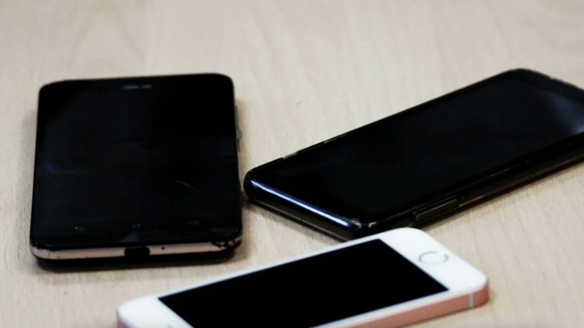     Председатель комитета Государственной Думы России по молодежной политике Артем Метелев пообщался с представителями движения «ЧВК Редан». Он назвал их милыми, отметив, что у них нет субкультуры или бандитского сообщества.