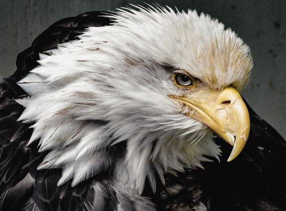    Фото: Global Look Press
