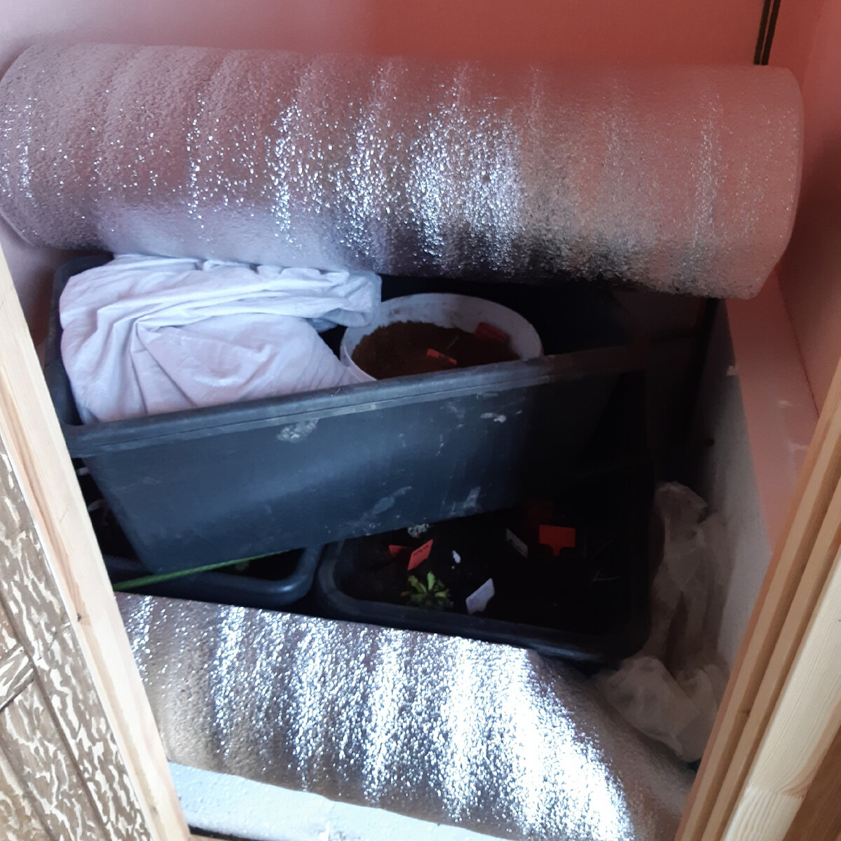 далее крупным планом