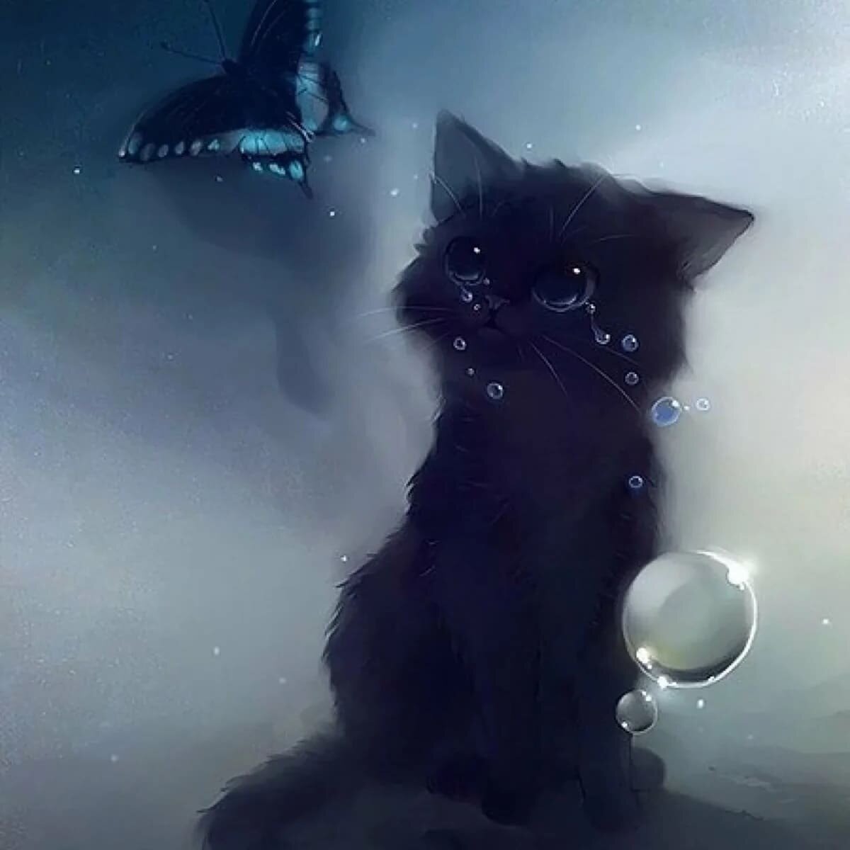 Источник картинки https://thypix.com/ru/kartinki-grustnyh-kotov/