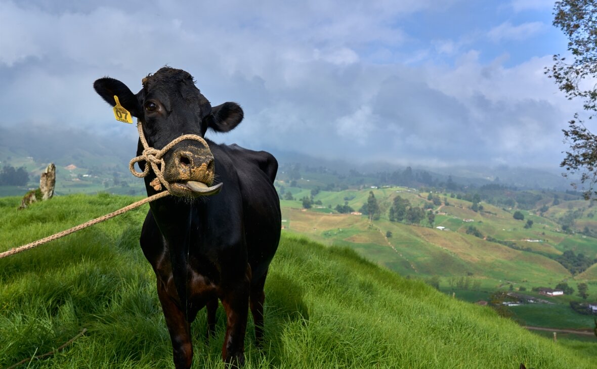 Фото: ru.freepik.com