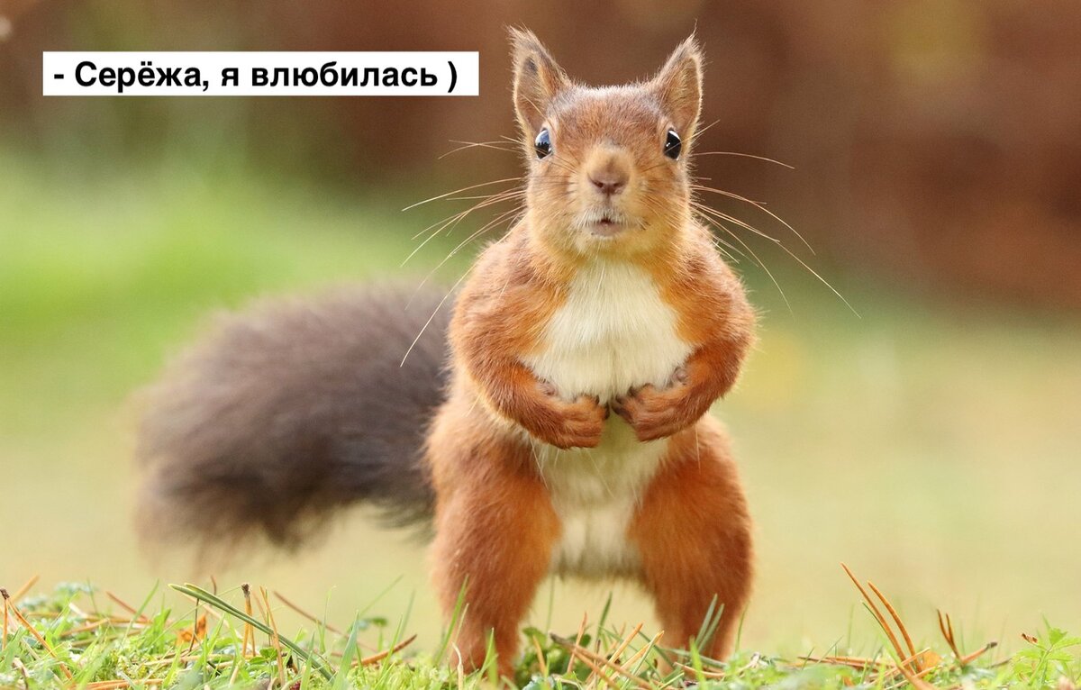 Мемы 1 апреля