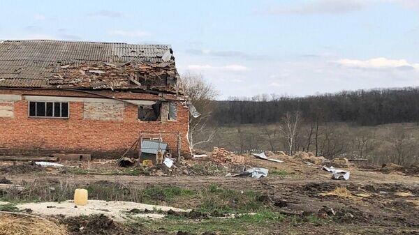    © Соцсети губернатора Белгородской области Вячеслава Гладкова