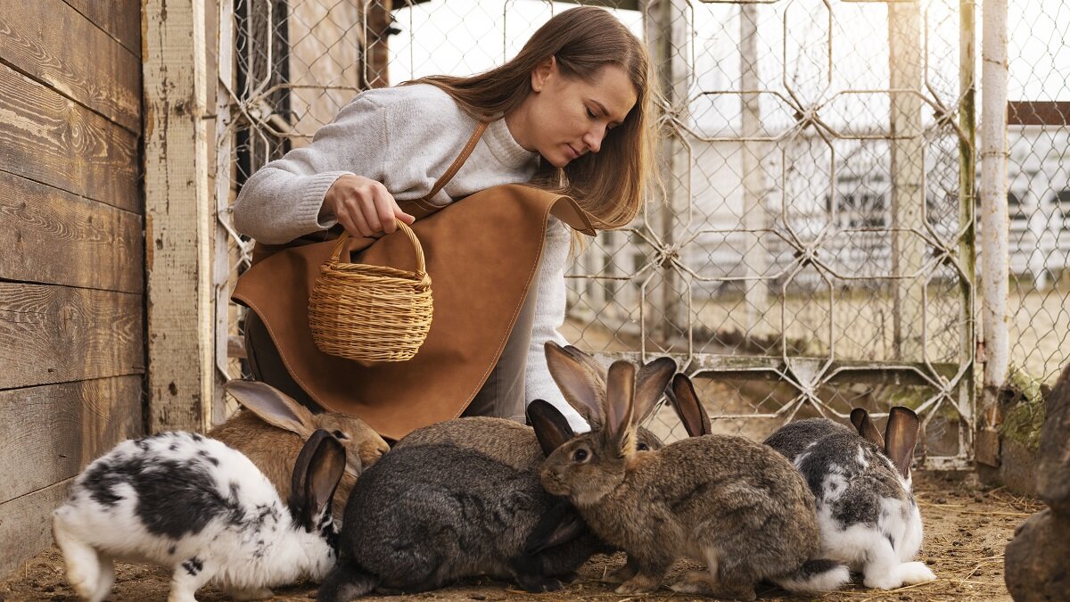    Можно ли разводить животных на даче