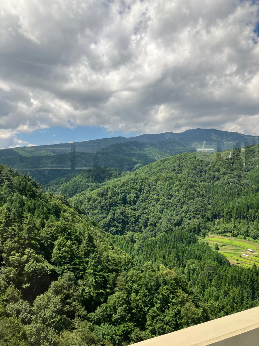 Фото автора. Сделано в автобусе, в префектуре Гифу