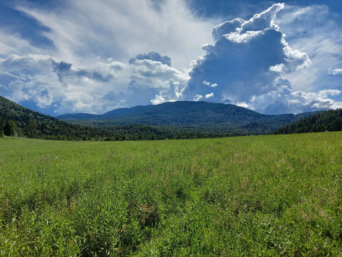 Горный Алтай. Гора Чептаган, окрестности д. Салганда