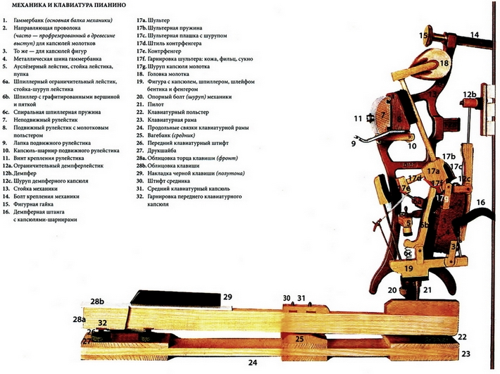 Learn How a Piano Works - Piano Action Parts Piano, Piano parts, Old pianos