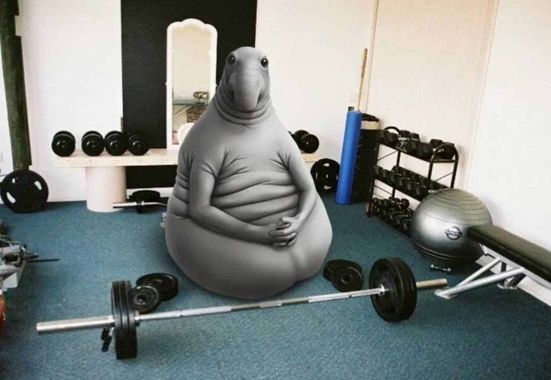 Это я в ожидании когда открыли залы. Вот откроют и пойду (нет). Проблема не в закрытых залах, а в голове..