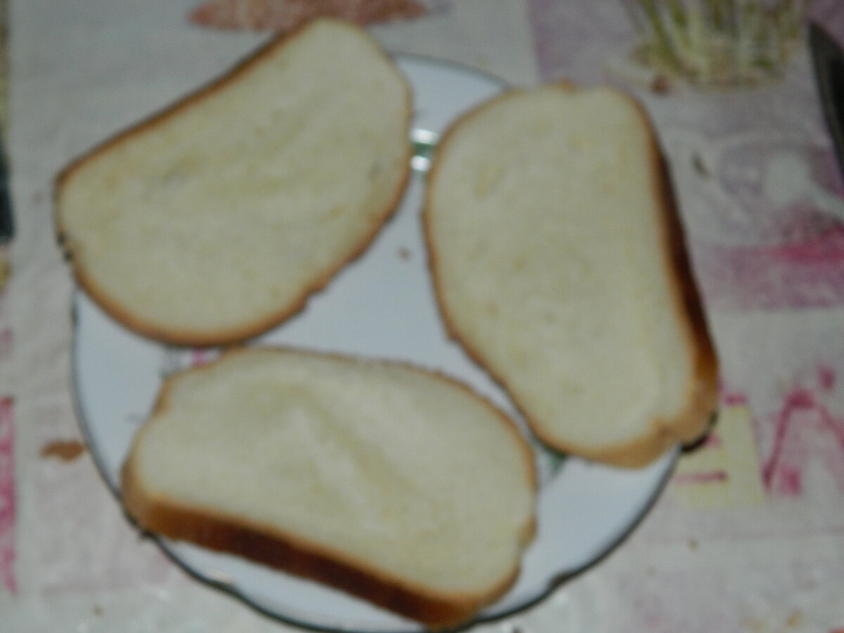 Это просто хлеб. Куплен в магазине уже порезанным.