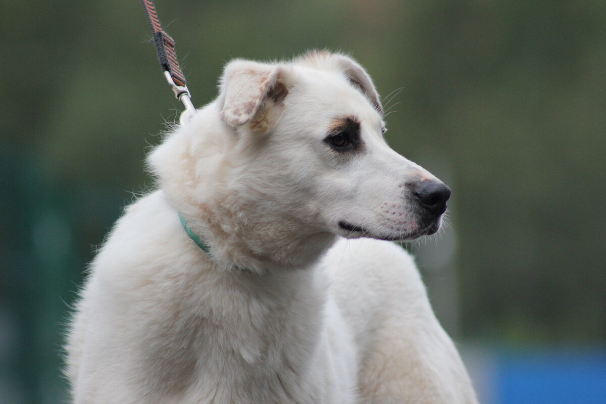 Этот мальчик хоть и боится, но мы знаем, что ждет своего человека