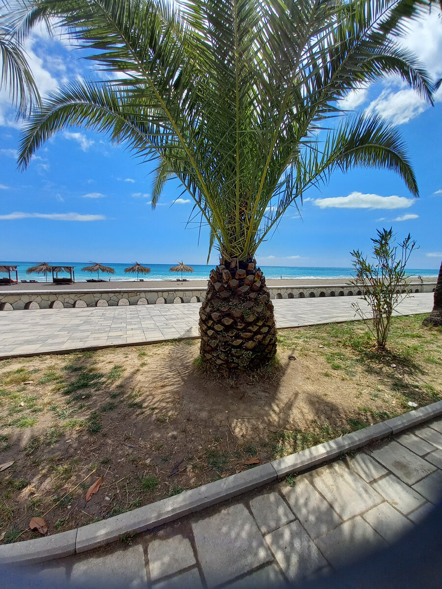 Набережная в Старой Гагре 