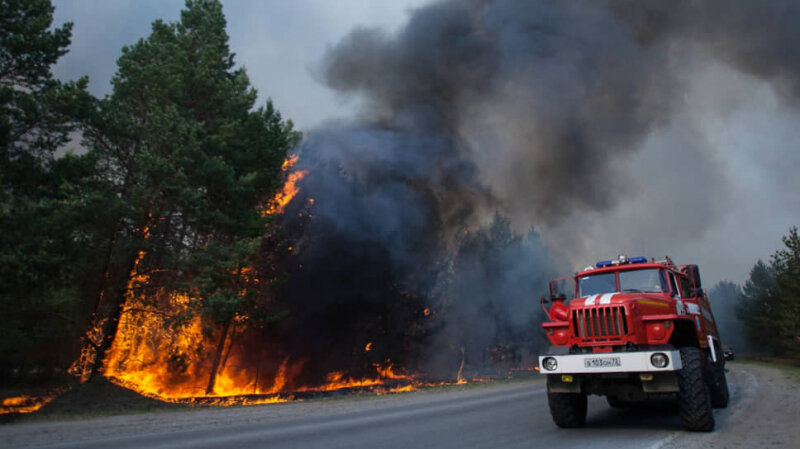 Источник фото: yandex.ru
