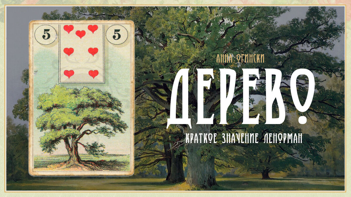 Значение карты Ленорман: Дерево