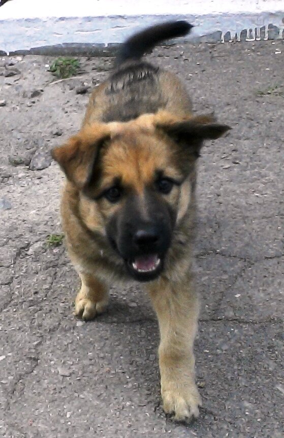 Фотография из личного архива