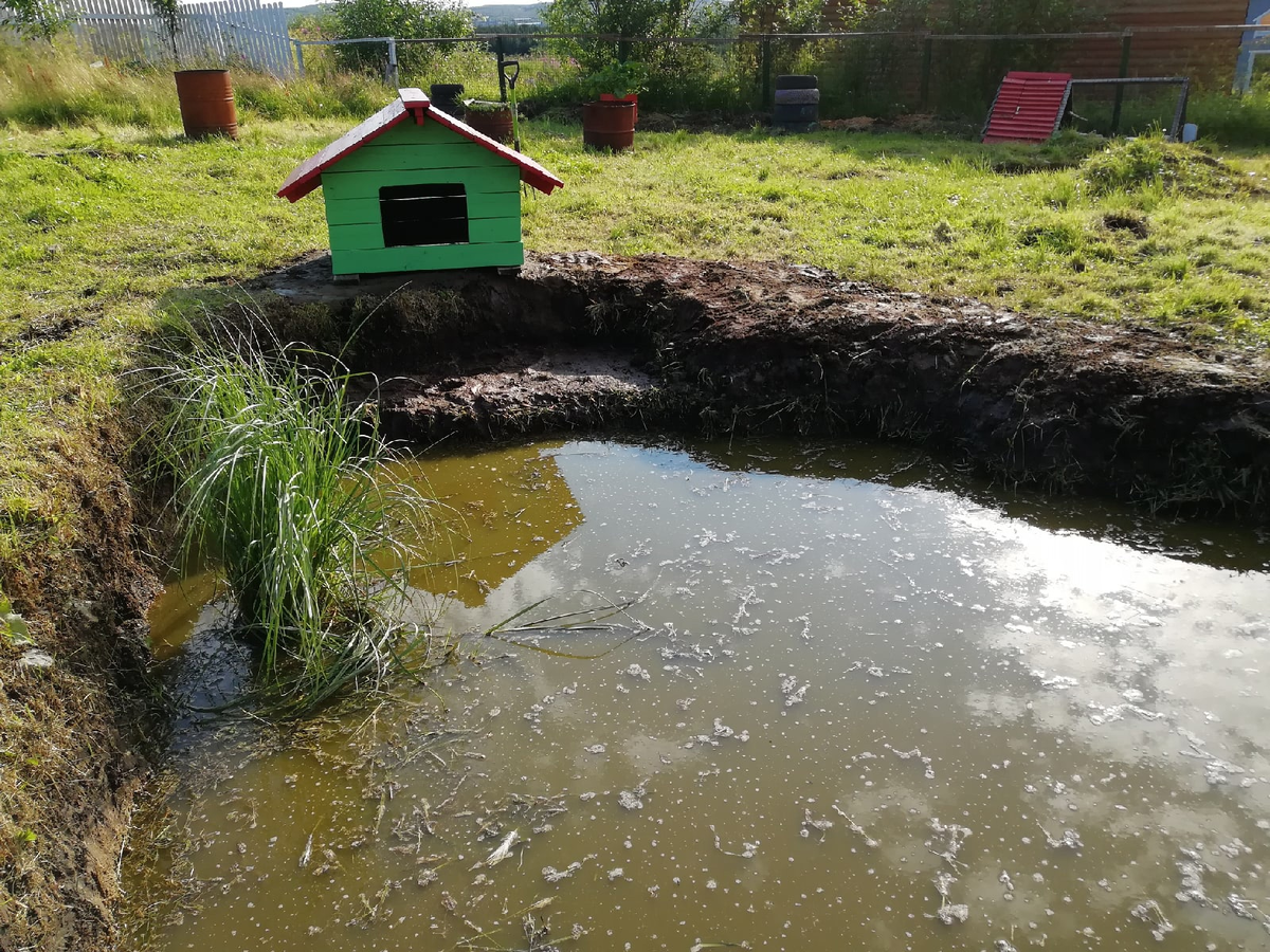Продолжаю строить домик для уточки. Работа и фото автора.