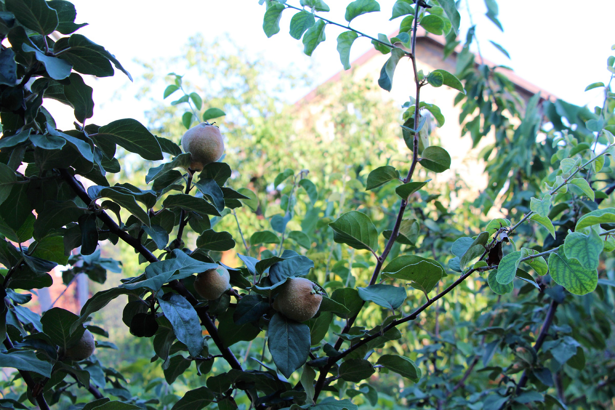 Листаем галерею.