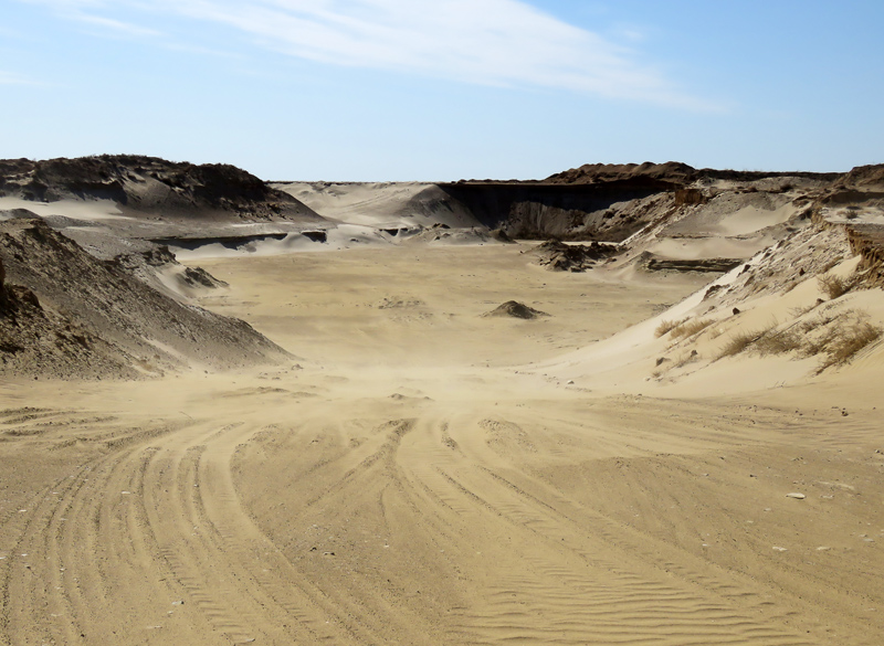 Казахская степь. Как выглядит и чем опасна она в стороне от дорог ...