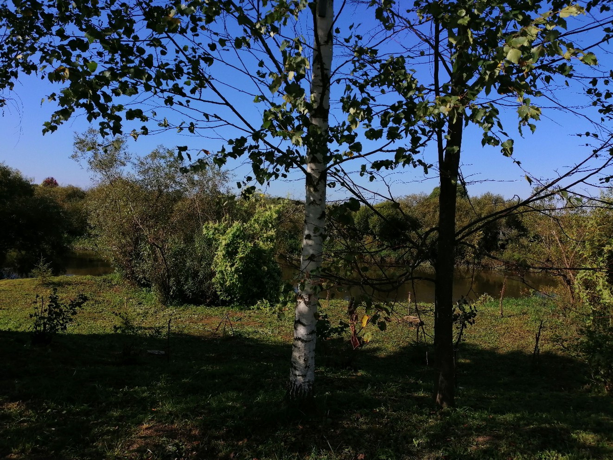 взято из открытых источников