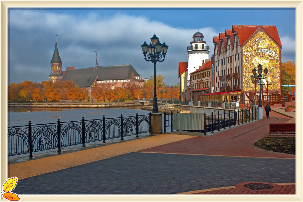 Осень в Калининграде..