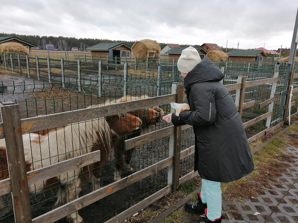 Маша кормила пони