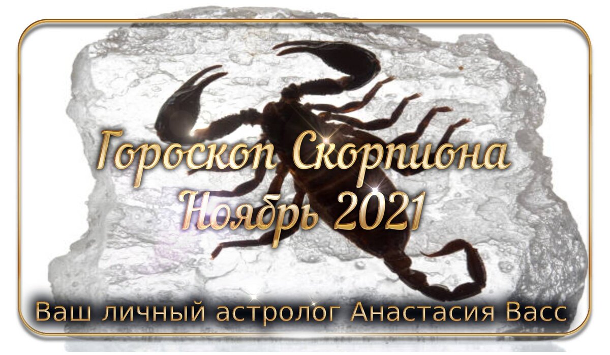 Гороскоп Скорпиона на ноябрь 2021 года | А. Васс | Дзен