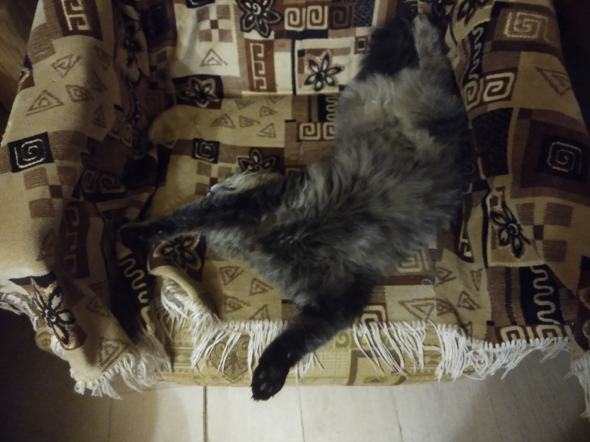 Сладко спится дома