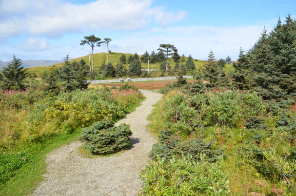 Национальный исторический парк Плантация Ситкинской ели