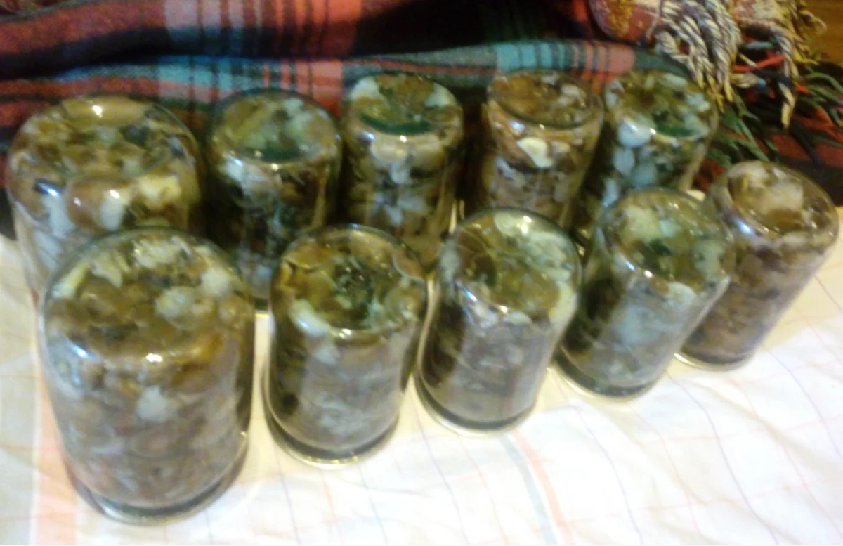 Автор фото пользователь с ником Кошка Маруська