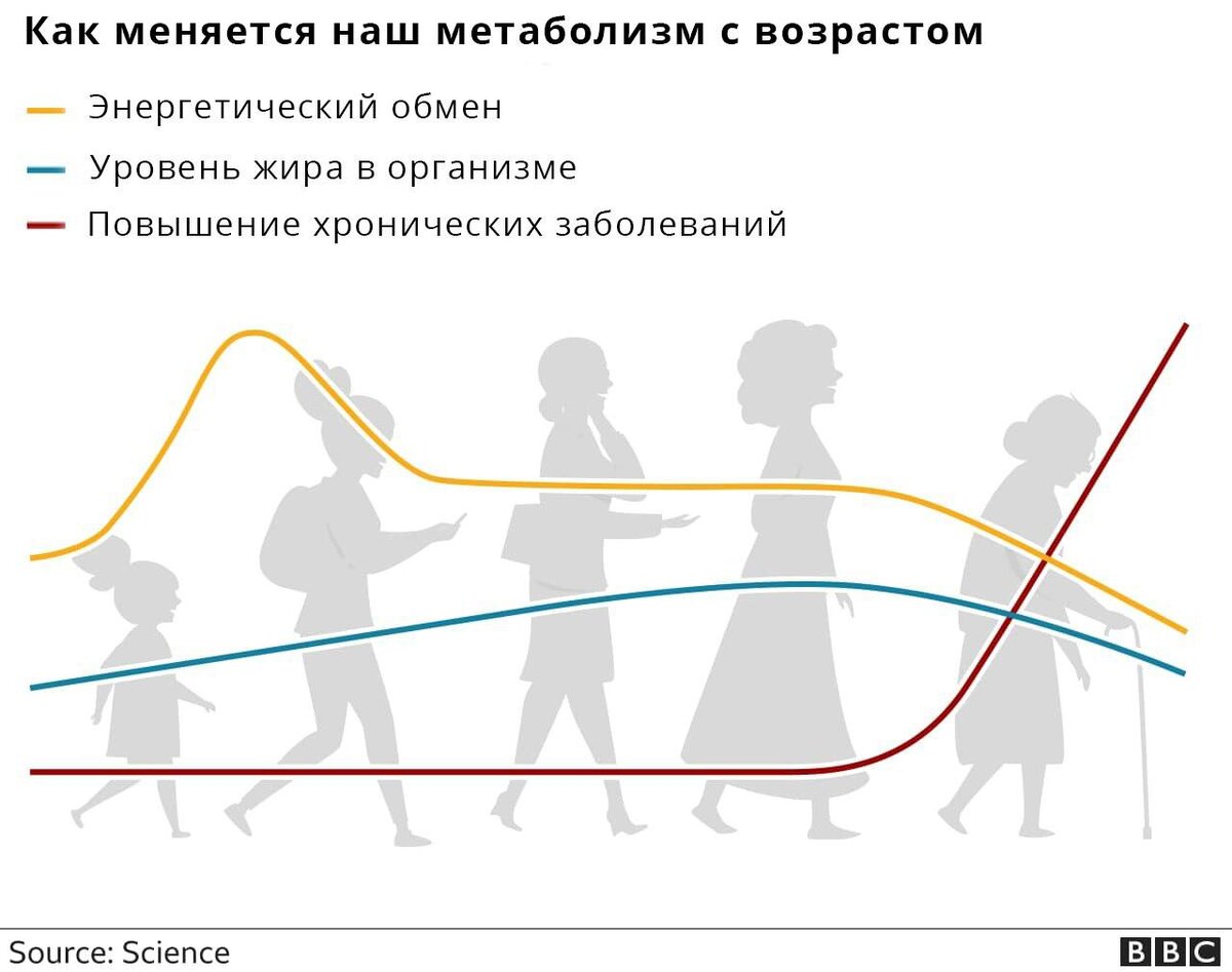 Исследование о возрастном метаболизме в BBC