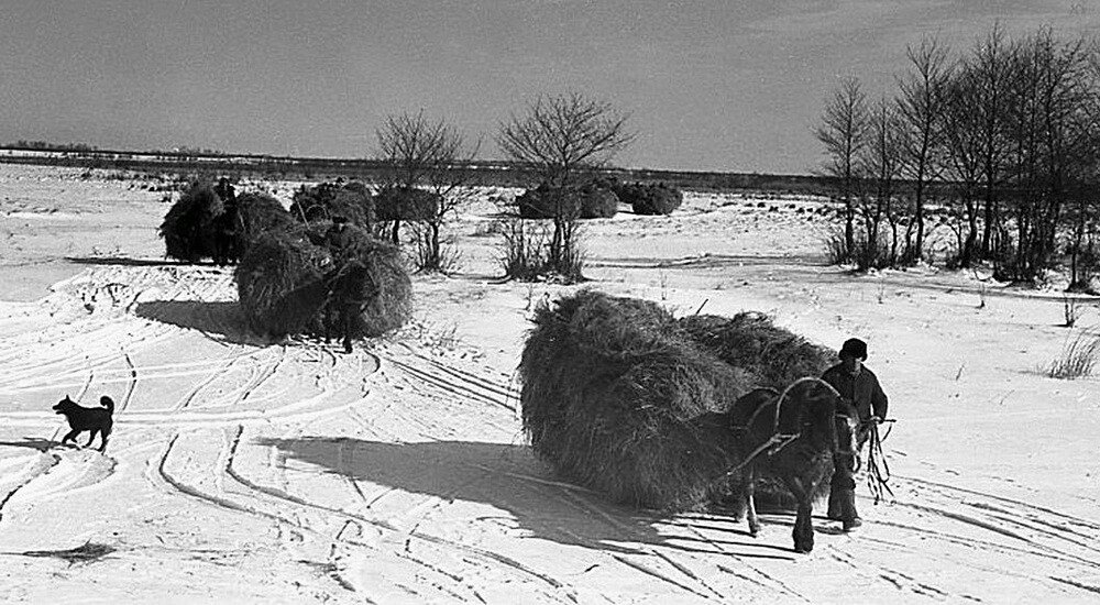 Вот таким способом можно легко нарастить мышечную массу. Фото https://proza.ru.
